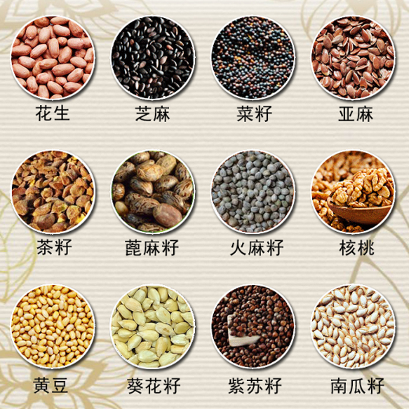 Shenzhou - Stainless Steel Oil Press Machine Commercial Home Extractor 2021 Hot Expeller Price Oil Press Machine 17