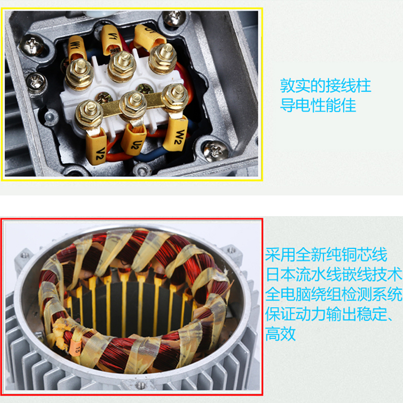 Shenzhou - Stainless Steel Oil Press Machine Commercial Home Extractor 2021 Hot Expeller Price Oil Press Machine 11