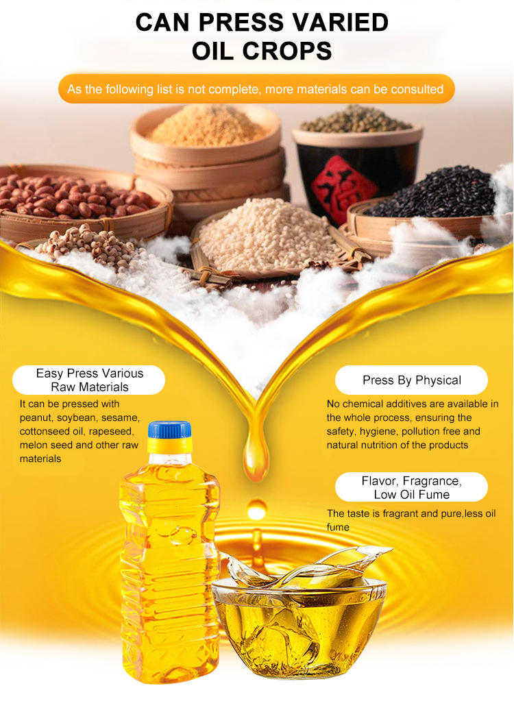 Shenzhou - Household High Output Stainless Steel Commercial Oil Press Machine For Sale Oil Press Machine 8