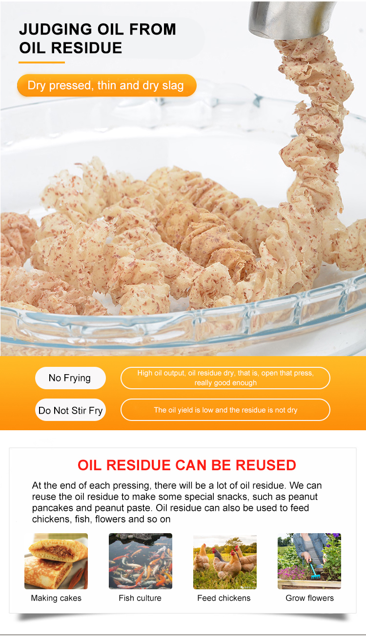 Shenzhou - Household High Output Stainless Steel Commercial Oil Press Machine For Sale Oil Press Machine 9