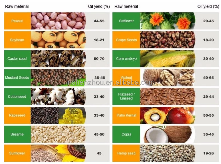 Shenzhou - 6YL-80 sunflower seeds soybean oiil press screw oil press machine Oil Press Machine 9