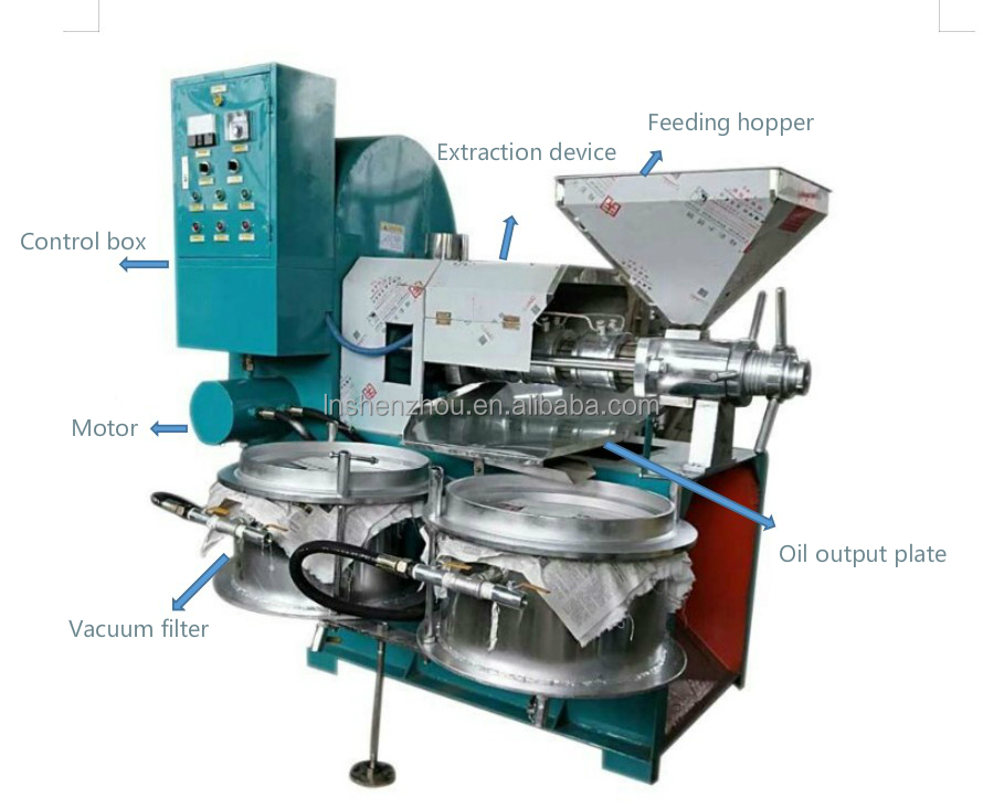 Shenzhou - 6YL-80 sunflower seeds soybean oiil press screw oil press machine Oil Press Machine 8