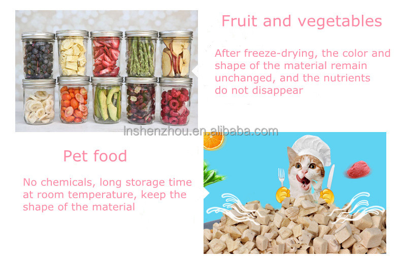 Shenzhou - China supplier Plant vacuum freeze dryer in the dried fruit and vegetable processing Food Machine 7