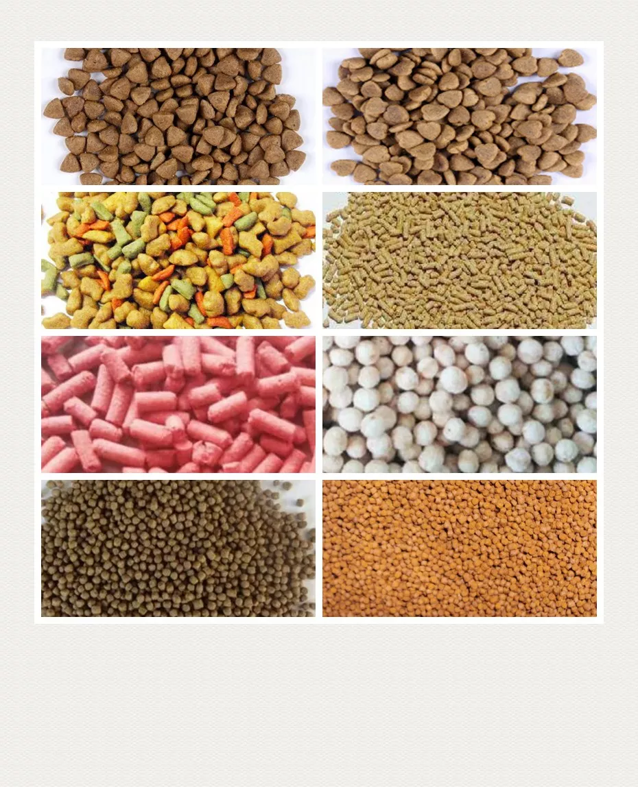 Shenzhou - Chicken Goat Cattle Poultry Feed Pellet Making Use Pet Food Animal Feed Pellet Machine Food Machine 15