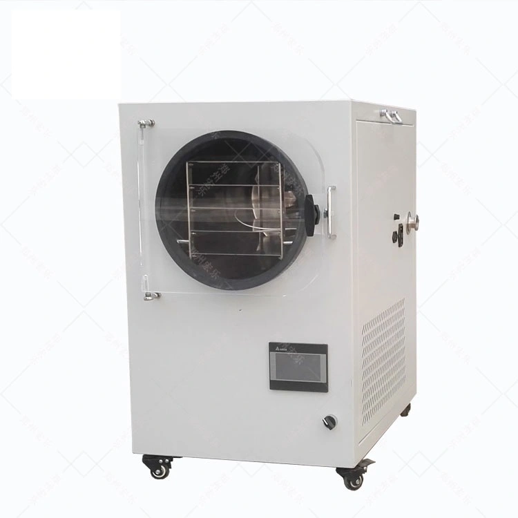 Shenzhou - Machine alimentaire sous vide pour la fabrication de légumes et de légumes de l'usine Reyes 1