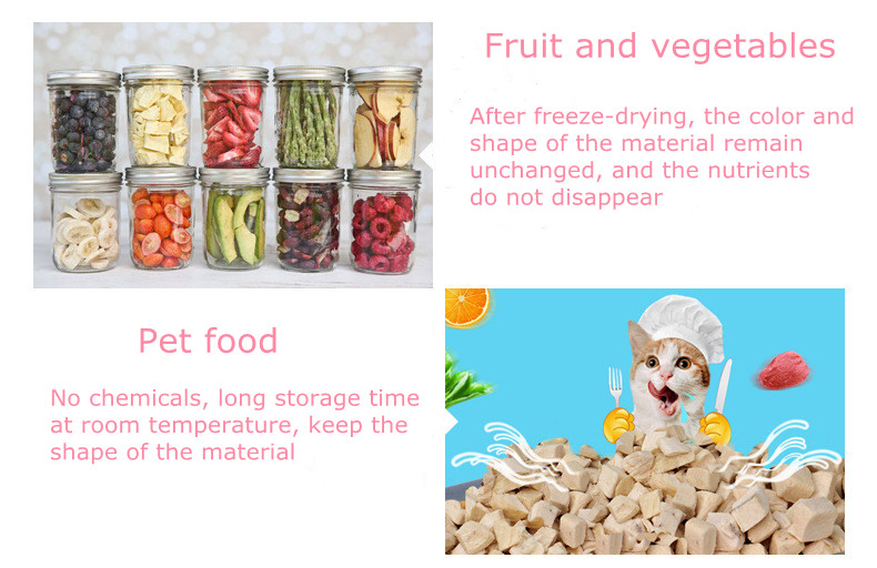 Shenzhou - Machine alimentaire sous vide pour la fabrication de légumes et de légumes de l'usine Reyes 9