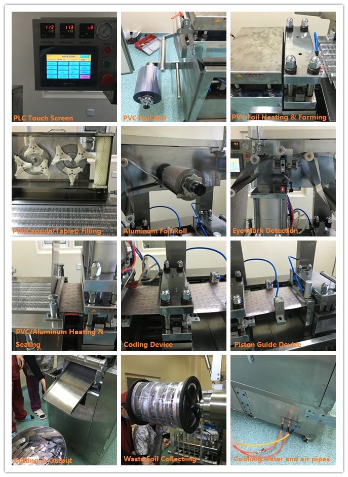 Shenzhou - DPP-250 PVC High-Speed Blister Packing Machine Filling&Packing Machine 8