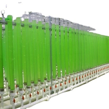 Shenzhou - Microalgae photobioreactor Production Line equipment 1