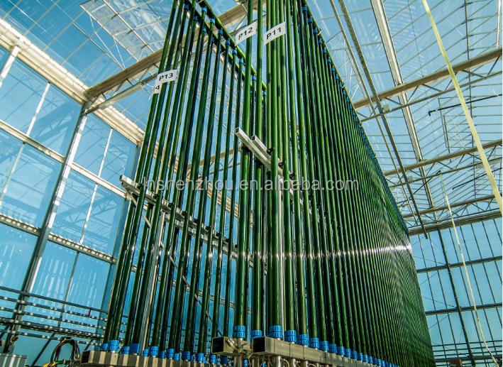 Shenzhou - Microalgae photobioreactor Production Line equipment 13