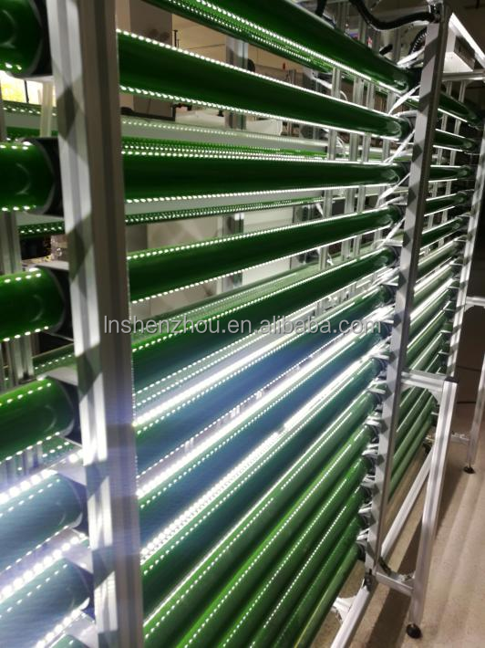 Shenzhou - Microalgae photobioreactor Production Line equipment 11