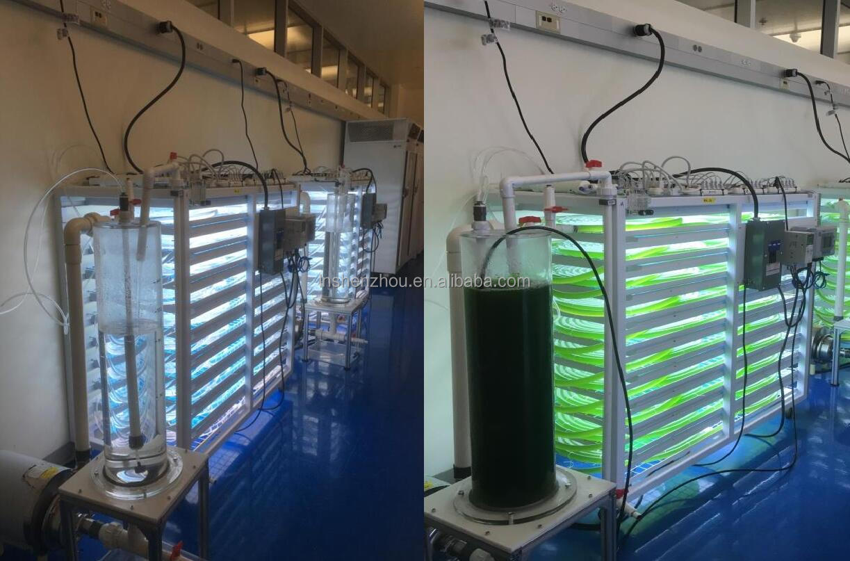 Shenzhou - Microalgae photobioreactor Production Line equipment 14
