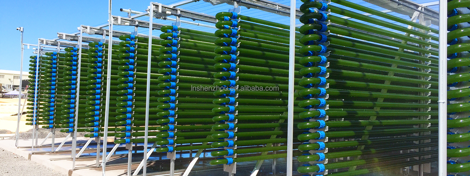 Shenzhou - Microalgae photobioreactor Production Line equipment 12