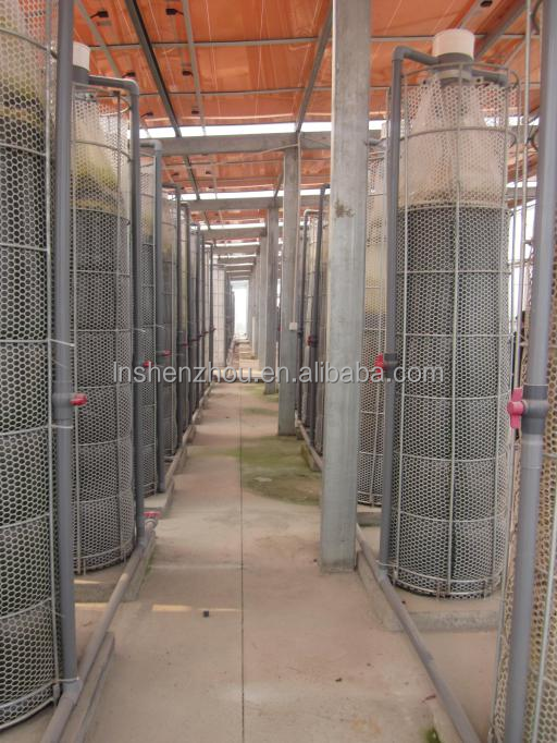 Shenzhou - Microalgae photobioreactor Production Line equipment 17