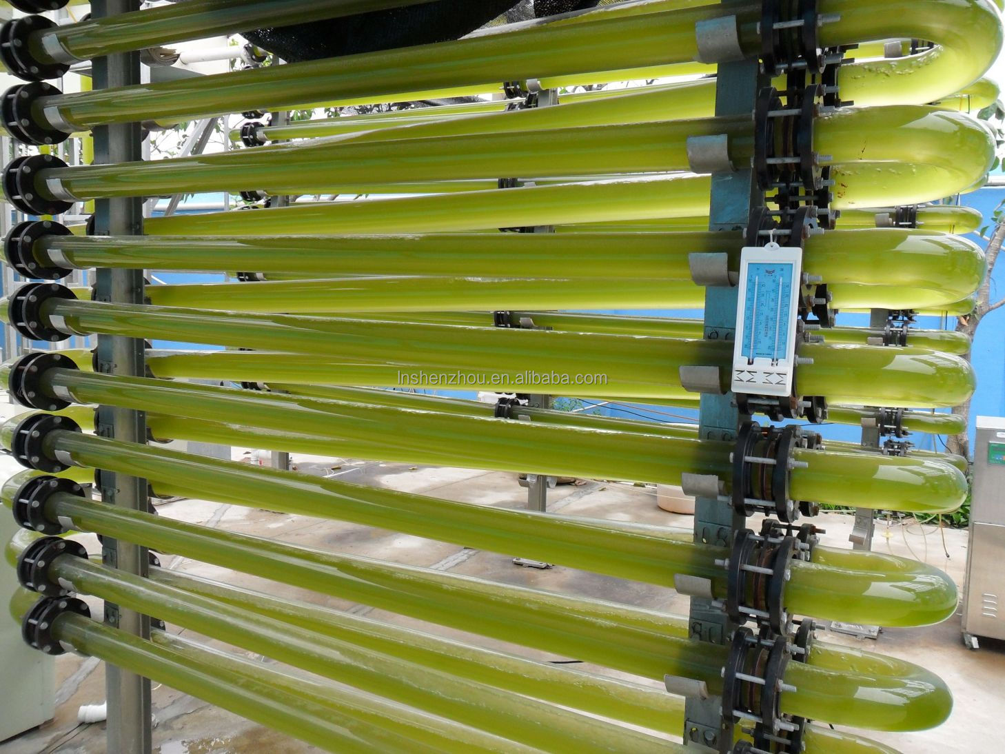 Shenzhou - Microalgae photobioreactor Production Line equipment 15