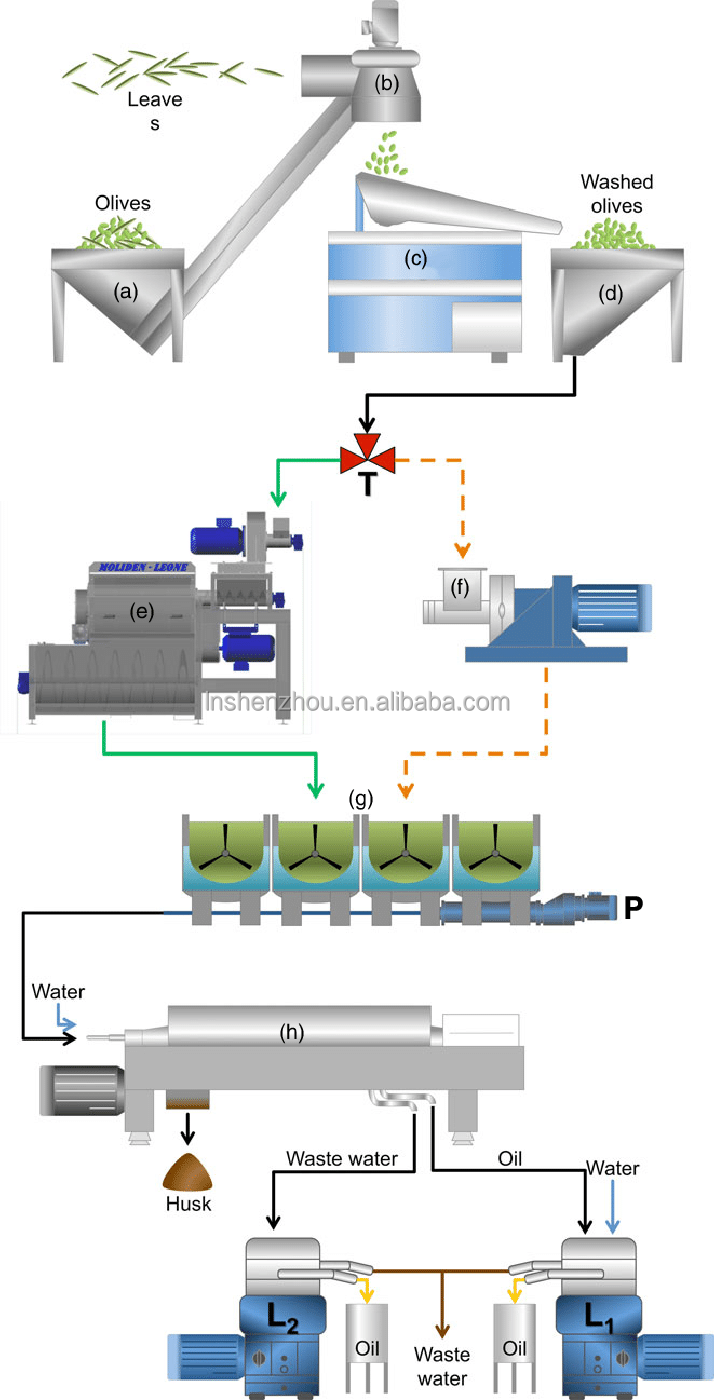 Shenzhou - olive oil process machines Production Line equipment 7