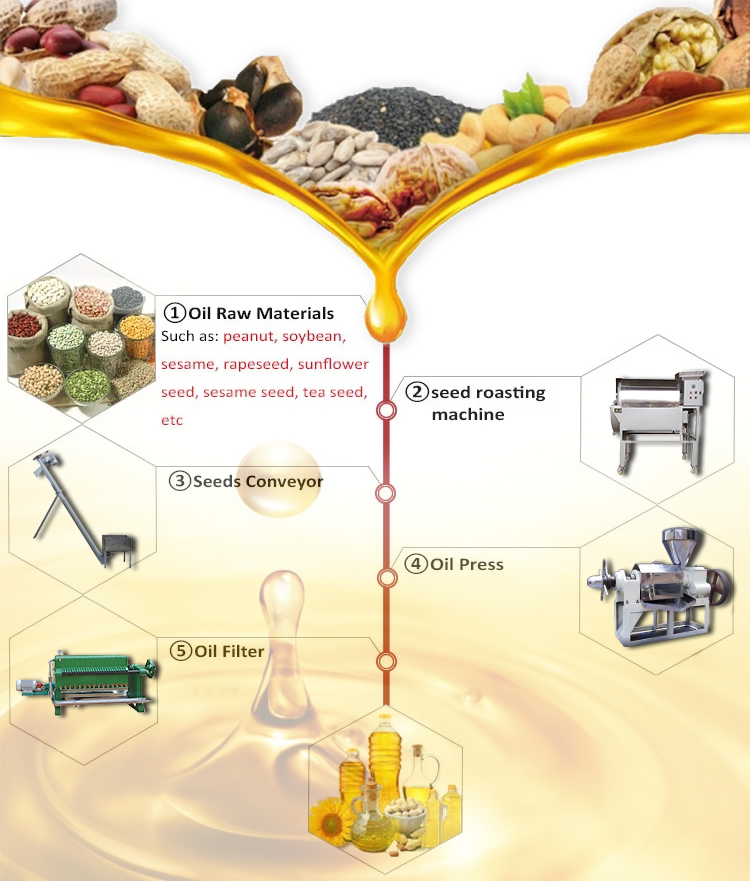 Shenzhou - Sunflower Oil Production Small Extracting Almond Oil Extraction Machine Price for making oil line Oil Press Machine 7