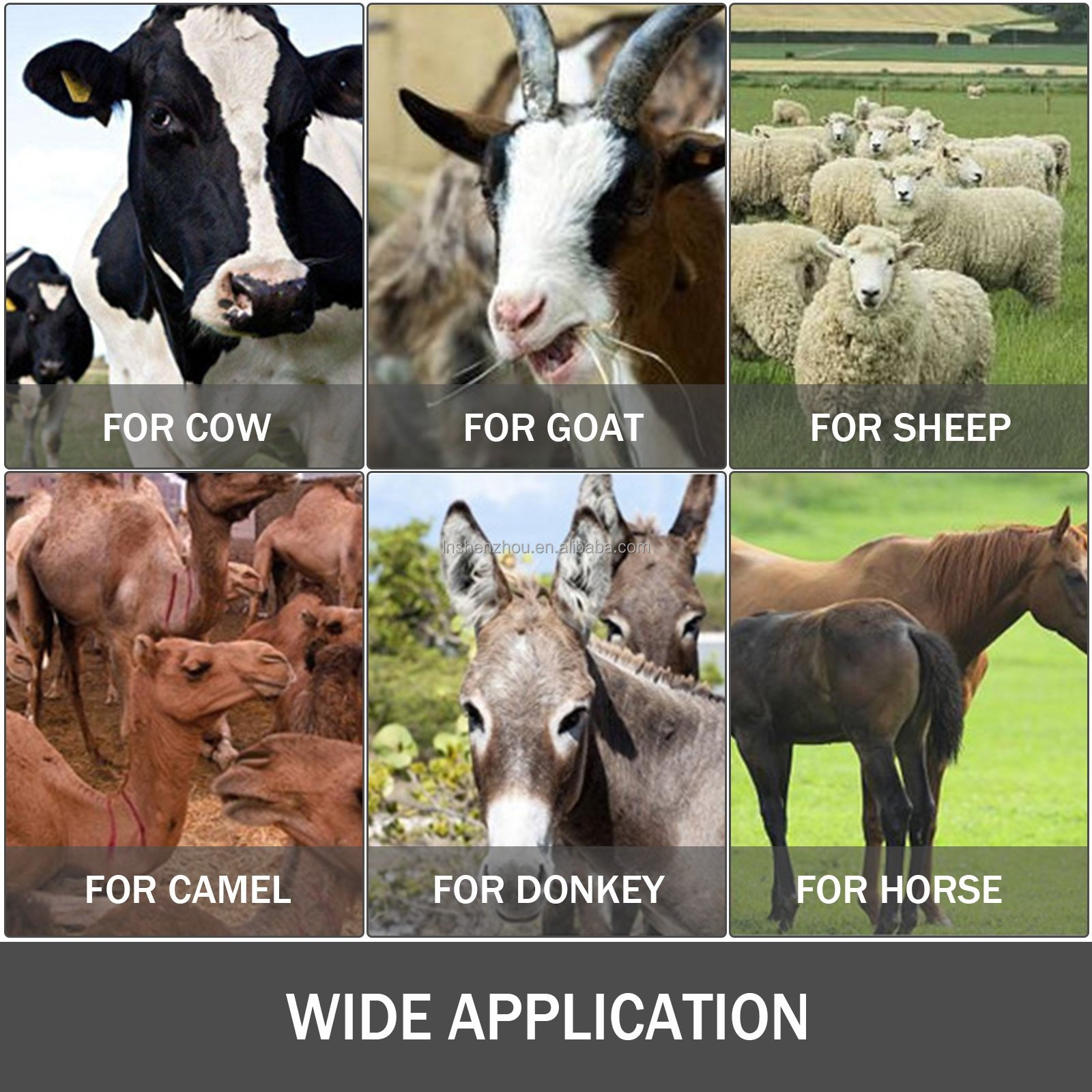 Shenzhou - Electric Milking Machine Milker Machine 5-8 Cows/h Double Handles Hot selling machine 17