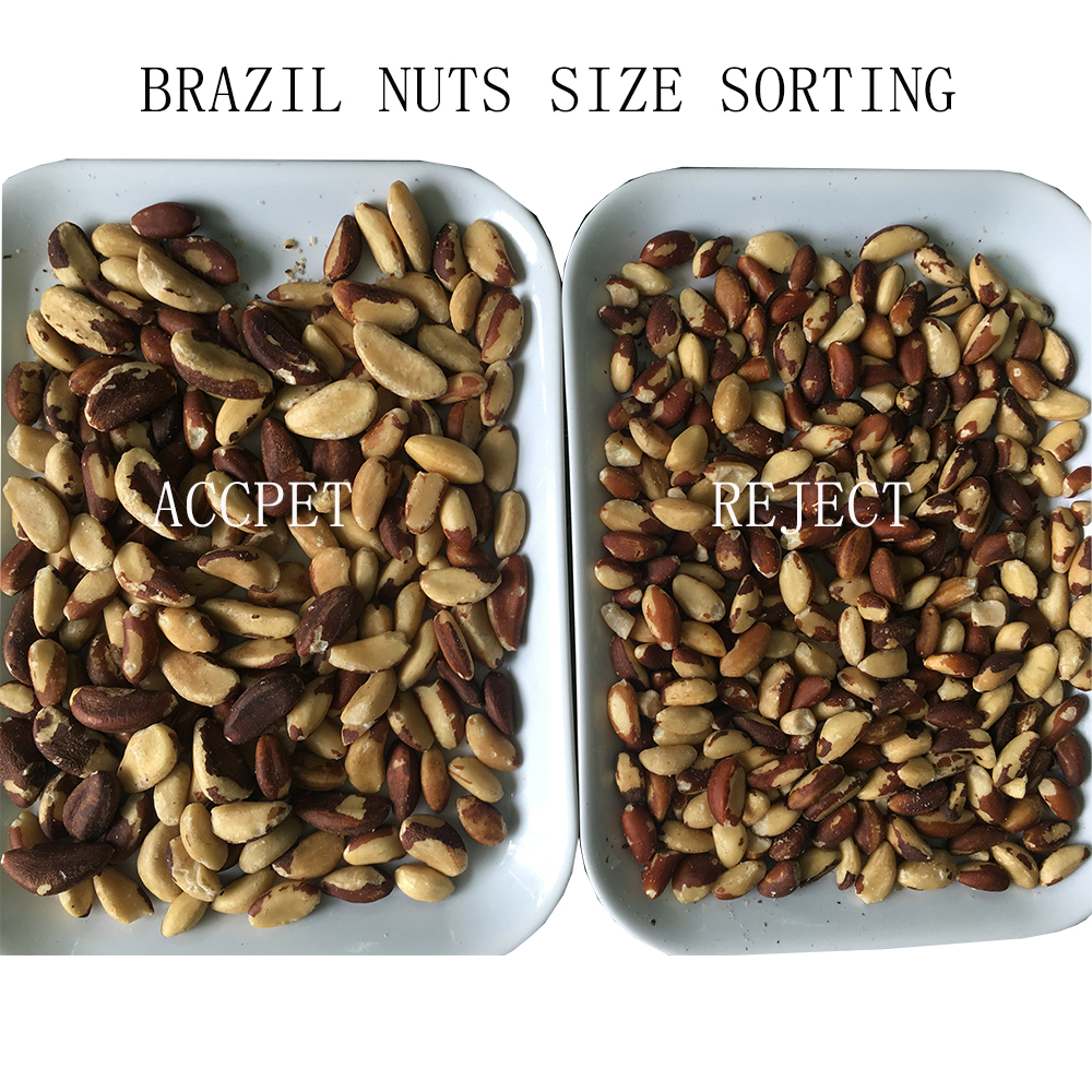 Shenzhou - Wesort Cashew Kernel Shell Separator Machine For Cashew Nut Processing Plant Food Machine 8