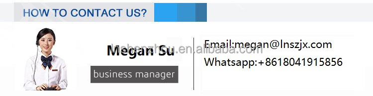 Shenzhou - 20g to 500g Automatic Masala Powder Packing Machine Filling&Packing Machine 15