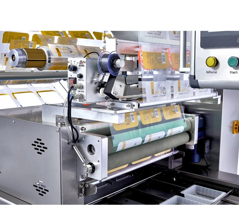 Shenzhou - máquina envasadora al vacío de filetes y mariscos, ... 1