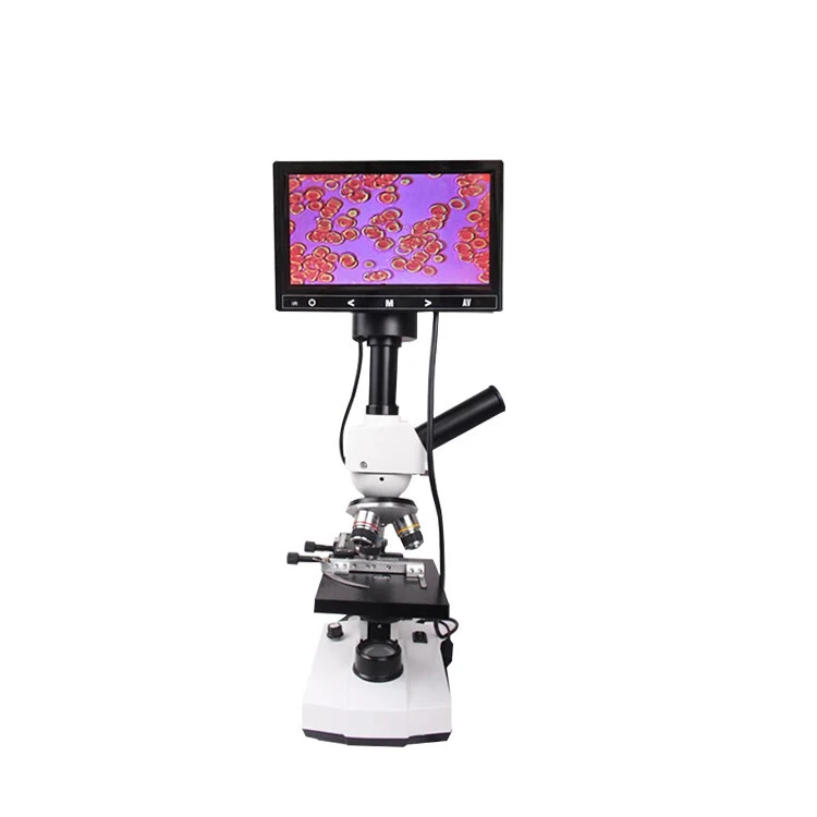 Shenzhou - Veterinary Display With Lcd Screen Digital And Medical Electronic Binocular Microscope Hot selling machine 1