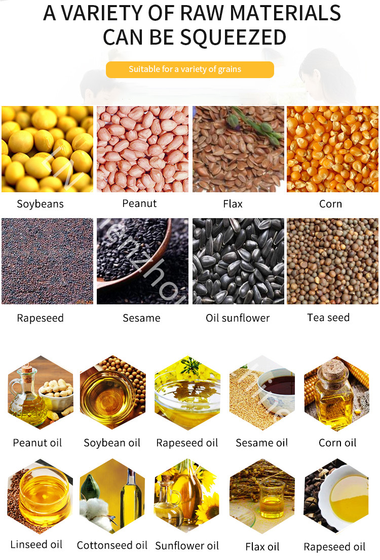 Shenzhou - Mustard/peanut oil press machine sunflower/soybean oil extraction expeller machine Oil Press Machine 13