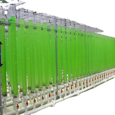Shenzhou - Algae cultivation pipeline photobioreactor Production Line equipment 1