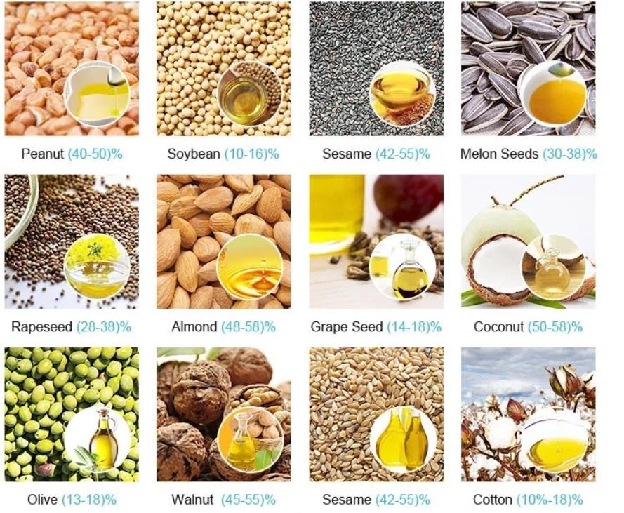 Shenzhou - New design home use mini nut oil press machine/hot Walnut seed oil pressing machine for sale Oil Press Machine 12