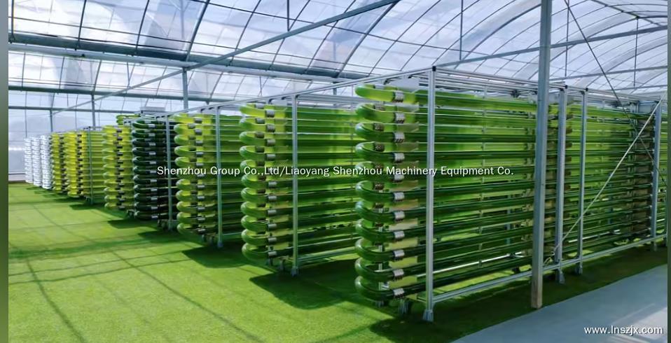 5000L Siyanobakteri Spirulina Chlorella Algleri Pbr Fotobiyoreaktör Boru Hattı Reaktörü 1