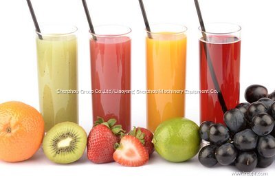 Professional A Brief Analysis of the Application of Decanter Centrifuges in Juice Separation manufacturers 3