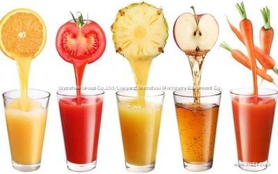 Professional A Brief Analysis of the Application of Decanter Centrifuges in Juice Separation manufacturers 2