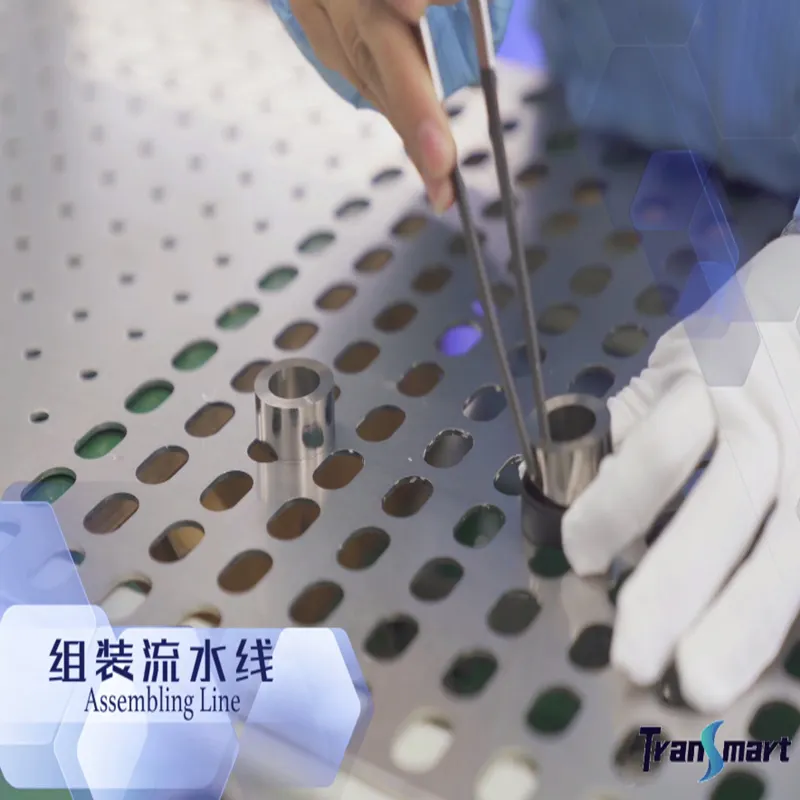 Transmart Array image272