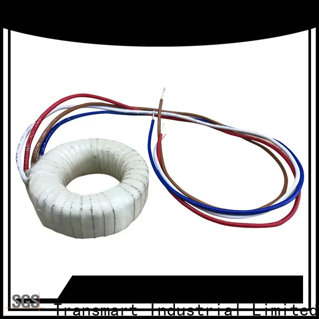 Transmart best low voltage yard light transformers suppliers for audio system 1