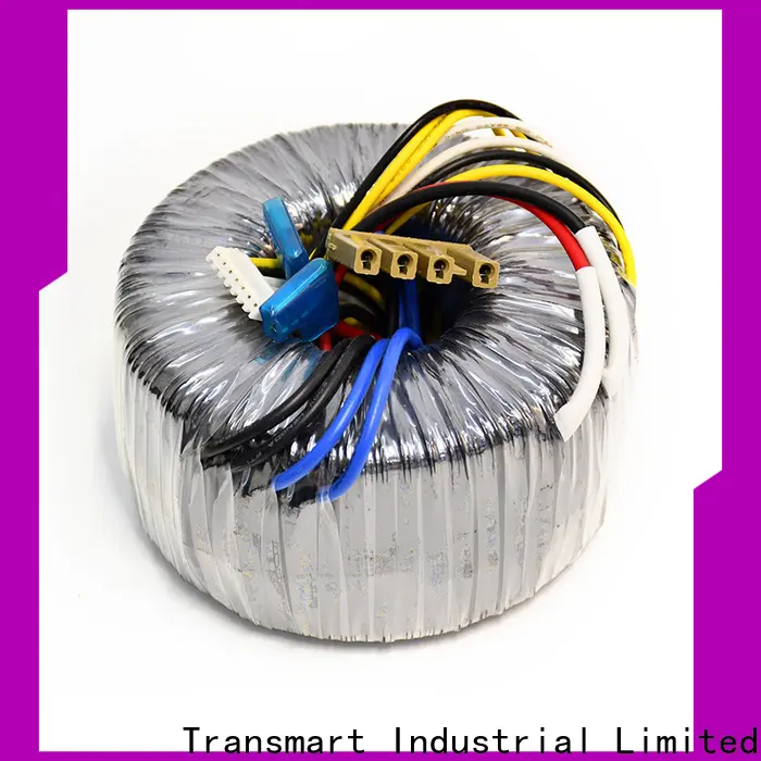 Transmart ODM high quality step down power transformer factory for audio system 1