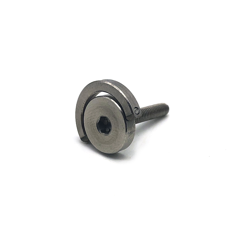 Chuanghe - M5 M6 plastic chicago screws flat head chicago screw Custom Machine Screws 12