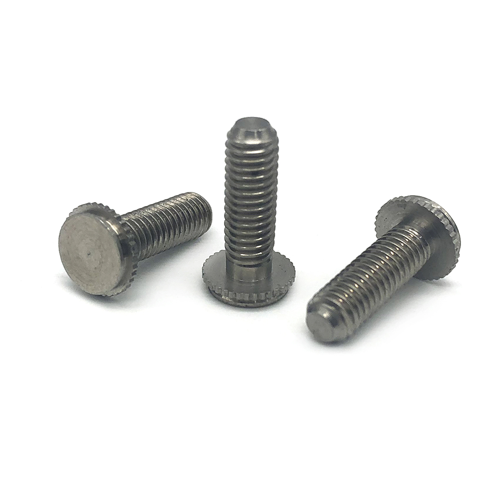 Chuanghe - M5 M6 plastic chicago screws flat head chicago screw Custom Machine Screws 14