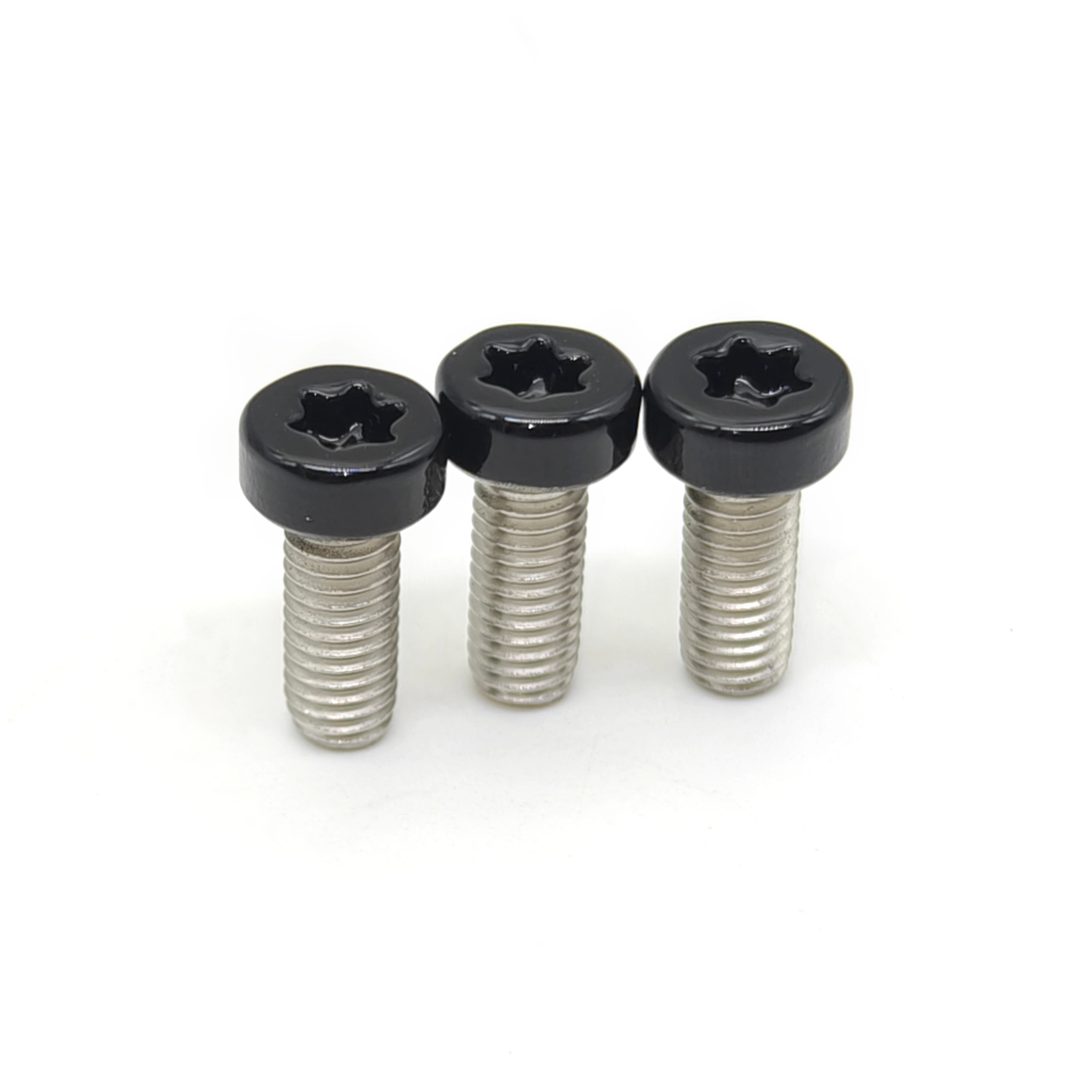 Head painted Torx pan head self sealing screws 1