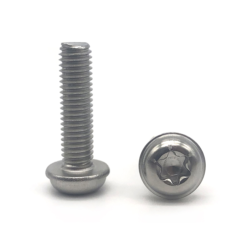 Best Selling Truss  M2.9 /10Mmm Round Aluminum Decorative Slotted Wafer American Torx Button Head Screw 2