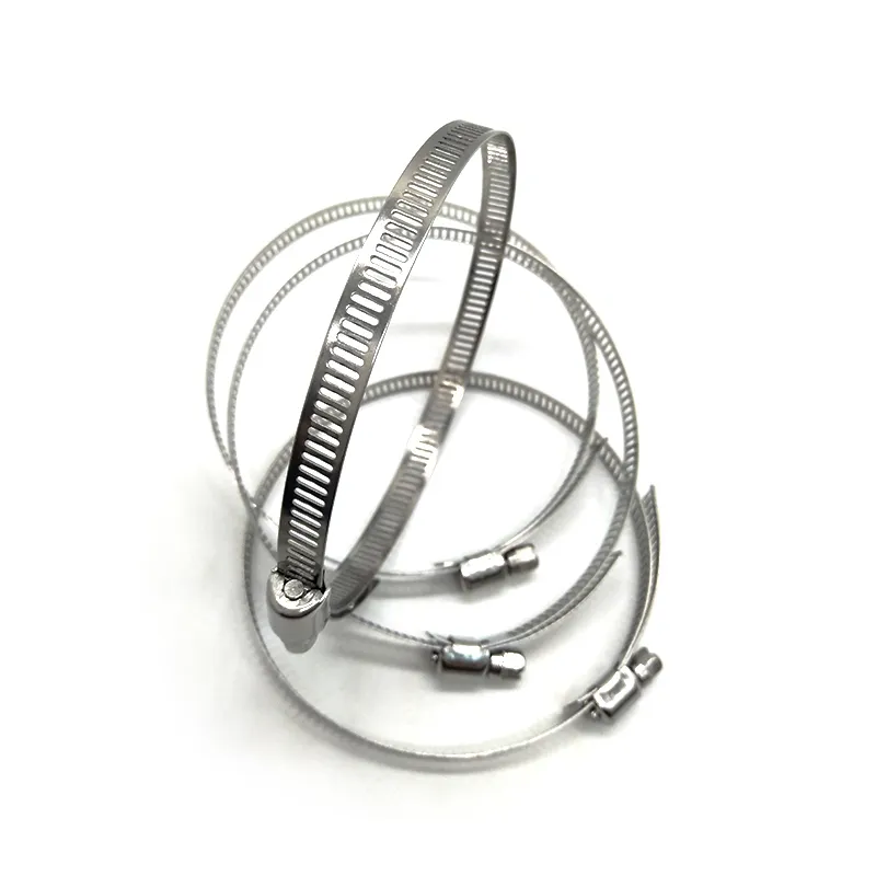 custom hose clamp stainless steel producer | Chuanghe Fastener 5