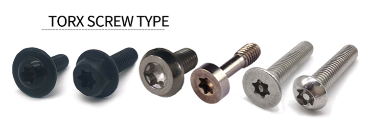 China factory direct automotive parts cnc 316 stainless steel m5 1/4-20 t9 pan head security machine screw anti-theft torx screw
