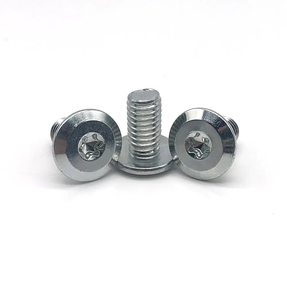 star head screw at Wholesale Prices | Chuanghe Fastener 6