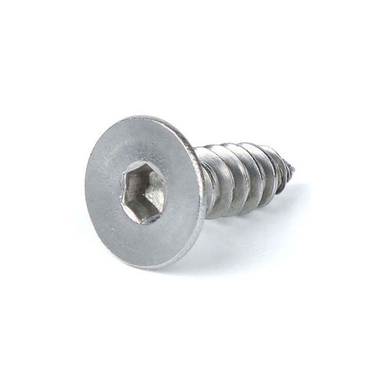 Chuanghe - Wholesale Class 10.9 Black Oxide Coating Hexagon Socket Countersunk Head Self-tapping Screw Self-tapping screw 4