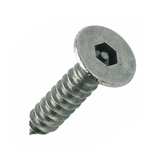 Chuanghe - Wholesale Class 10.9 Black Oxide Coating Hexagon Socket Countersunk Head Self-tapping Screw Self-tapping screw 6