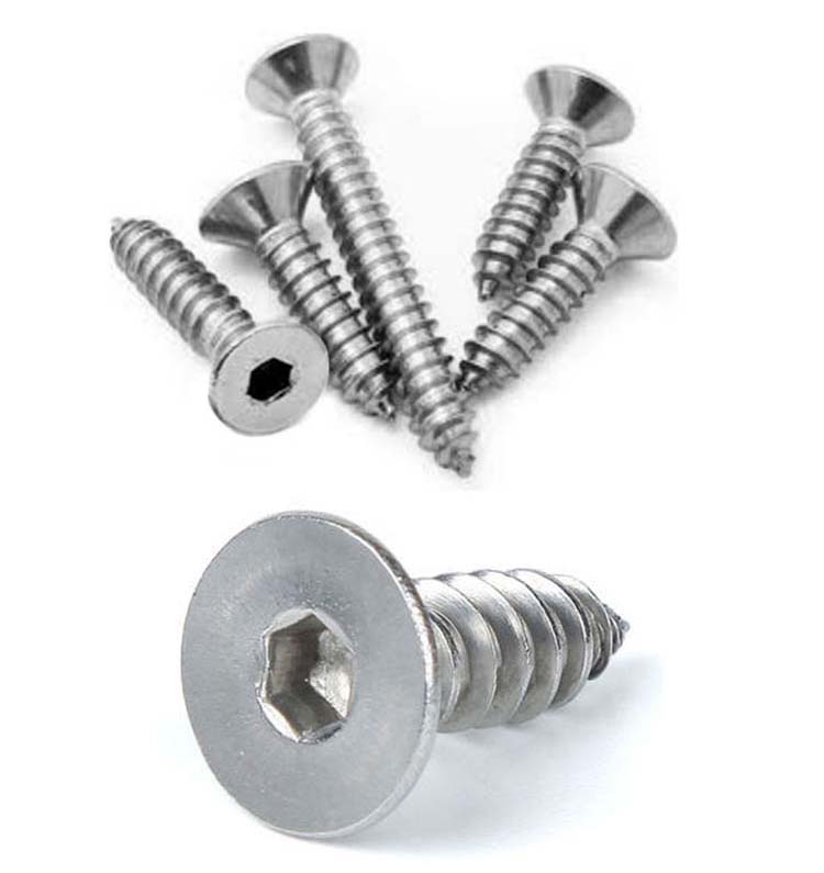 Chuanghe - Wholesale Class 10.9 Black Oxide Coating Hexagon Socket Countersunk Head Self-tapping Screw Self-tapping screw 9