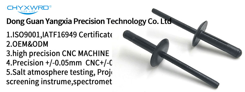 Chuanghe - High quality Automobile Black Clear Nylon Plastic Blind Rivet open type pop blind rivet blind rivet 8