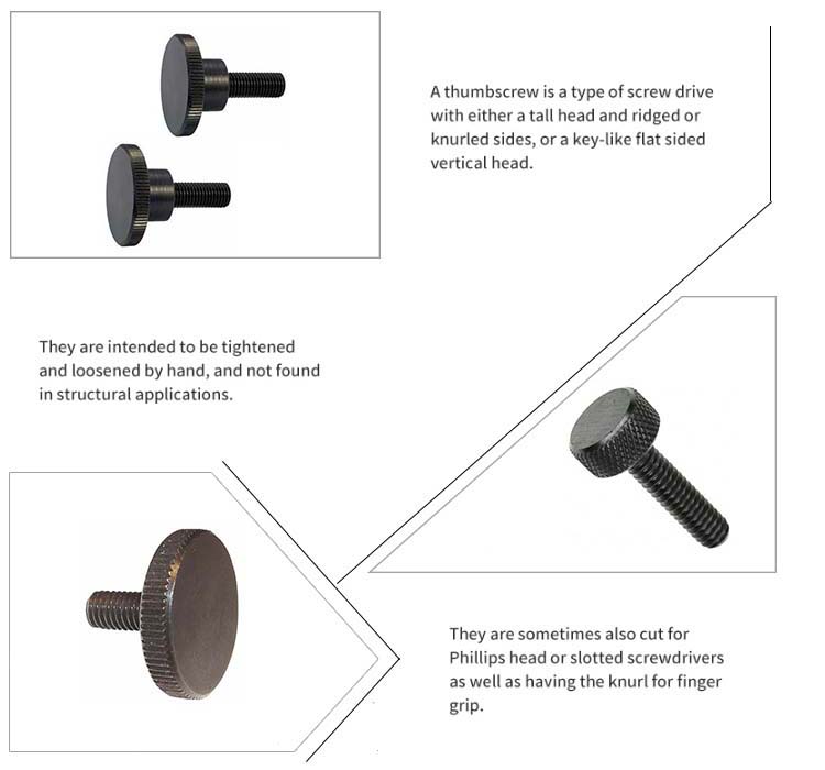 Chuanghe - China wholesale knurled thumb screw brass aluminum metal black custom knob screws m6 m3 flat head stainless steel thumb screw Thumb screw 10