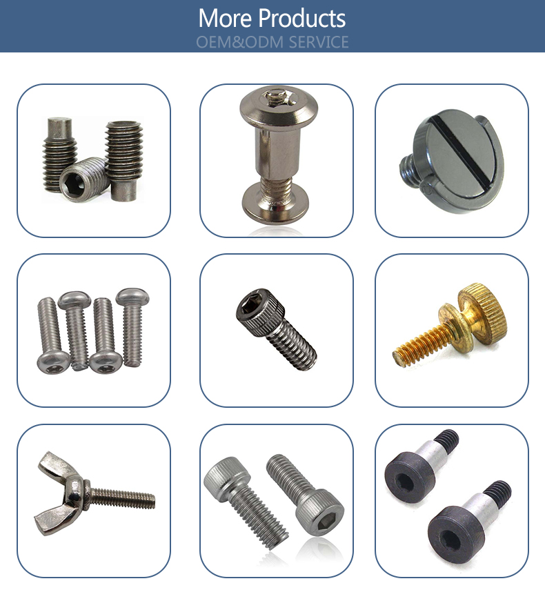 Chuanghe - Hardware materials fireproof cctv camera surge protector Camera screw 10