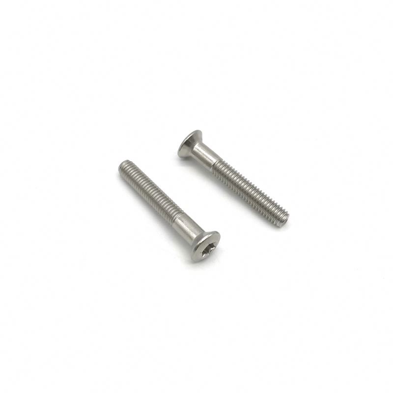 Chuanghe - China wholesale custom m6 m7 m8 m9 stainless steel pan head thin wood screws t9 t15 bike security bolt torx screw Torx screw 4