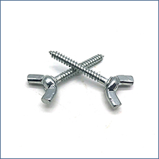 Chuanghe - Factory price female chicago screws with internal thread Chicago screw 13