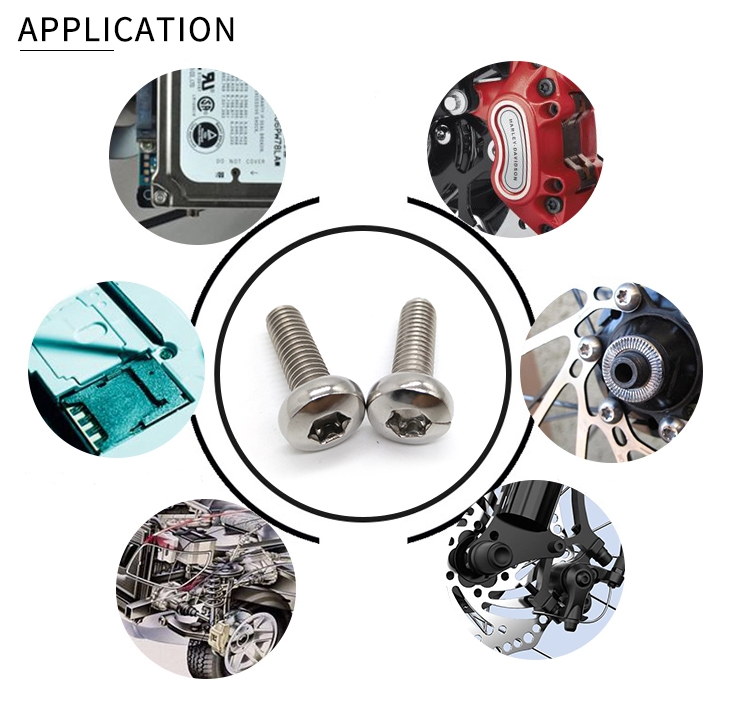 Chuanghe - Wholesale furniture m3 m6 black self-tapping concrete plated deck screws flat pan head tapping furniture drywall torx wood screw Torx screw 10